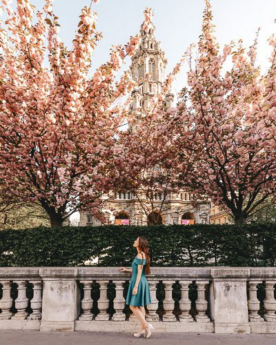 Spring in Paris Kanzan cherry blossoms in Eglise de la Trinit&eacute; by Dancing the Earth