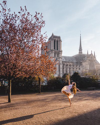 Spring in Paris plums in square Ren&eacute; Viviani by Dancing the Earth