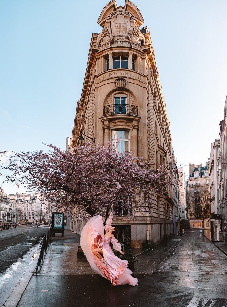 Paris Spring Rue du Louvre cherry blossoms, by Dancing the Earth