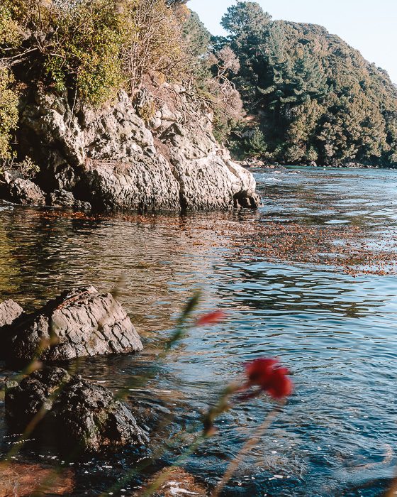 Crystal clear water in Stewart Island, Dancing the Earth