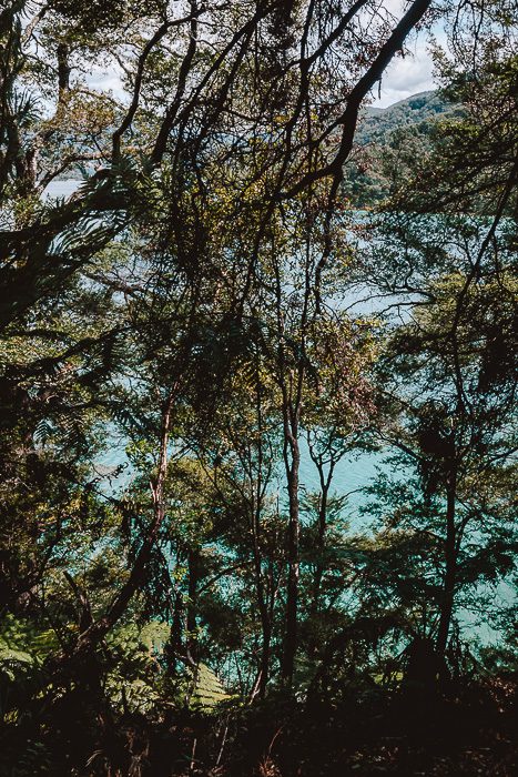 turquoise water and lush green, Dancing the Earth