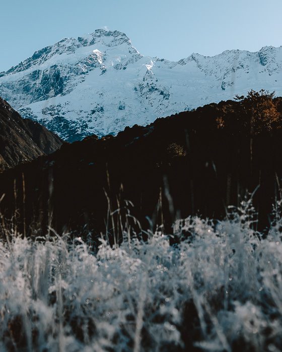 Mount Sefton at first light of day, Dancing the Earth
