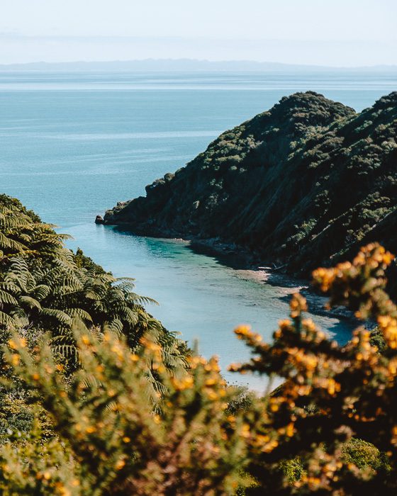 Abel Tasman, Taupo Point, Dancing the Earth