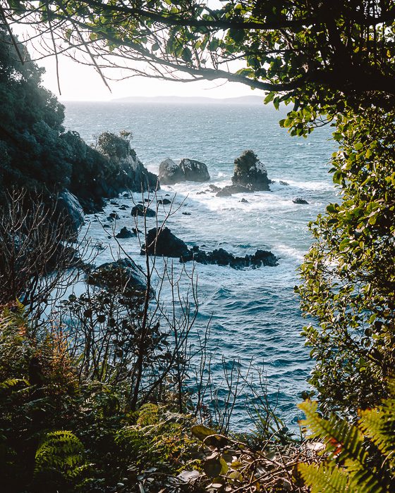 View from Horseshoe Bay, Dancing the Earth